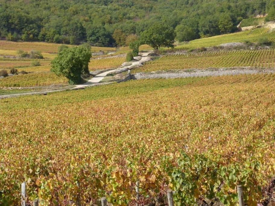 Les Grands Crus - Pommard Villa Corpeau Buitenkant foto